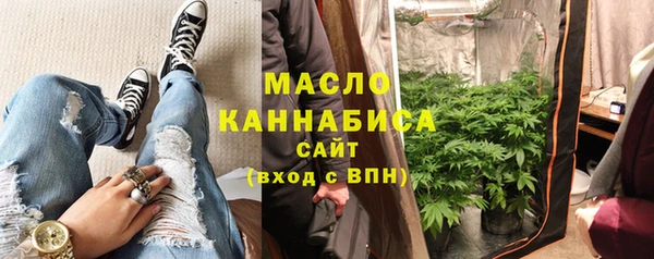 амф Верхний Тагил