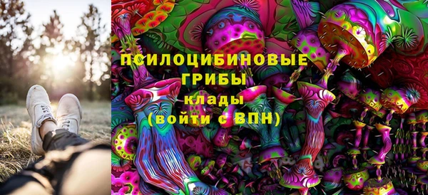 мескалин Осинники