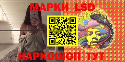 шишки Бийск