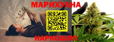 шишки Бийск