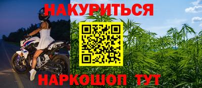 шишки Бийск