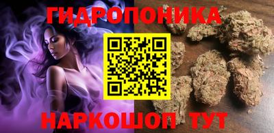 шишки Бийск
