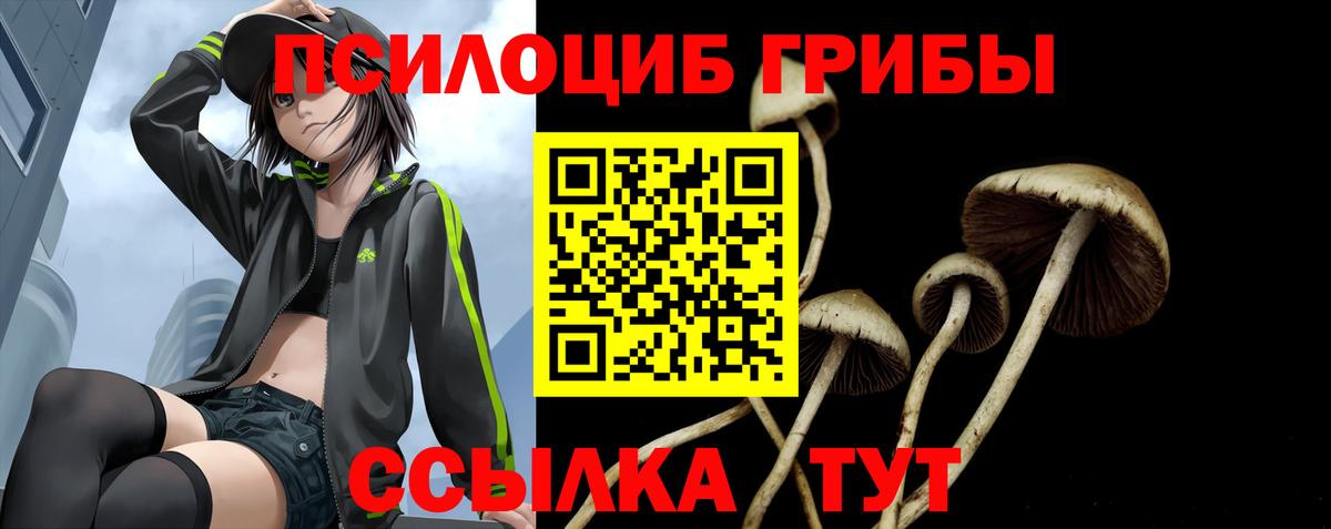 Чита  Псилоцибиновые грибы прущие грибы  Вход с VPN  Галлюциногенные грибы мицелий 